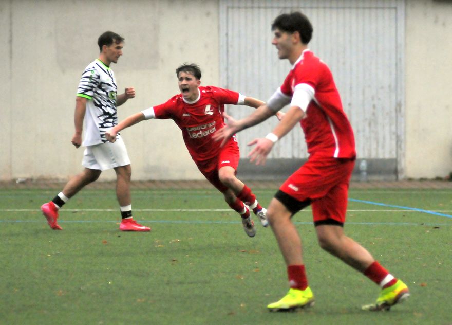 Herren: TSV Leinfelden I – TSV Birkach I  1:0 (0:0)